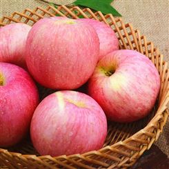 产地代收规格80以上红富士苹果 当季水果 新鲜脆甜多汁 现采摘